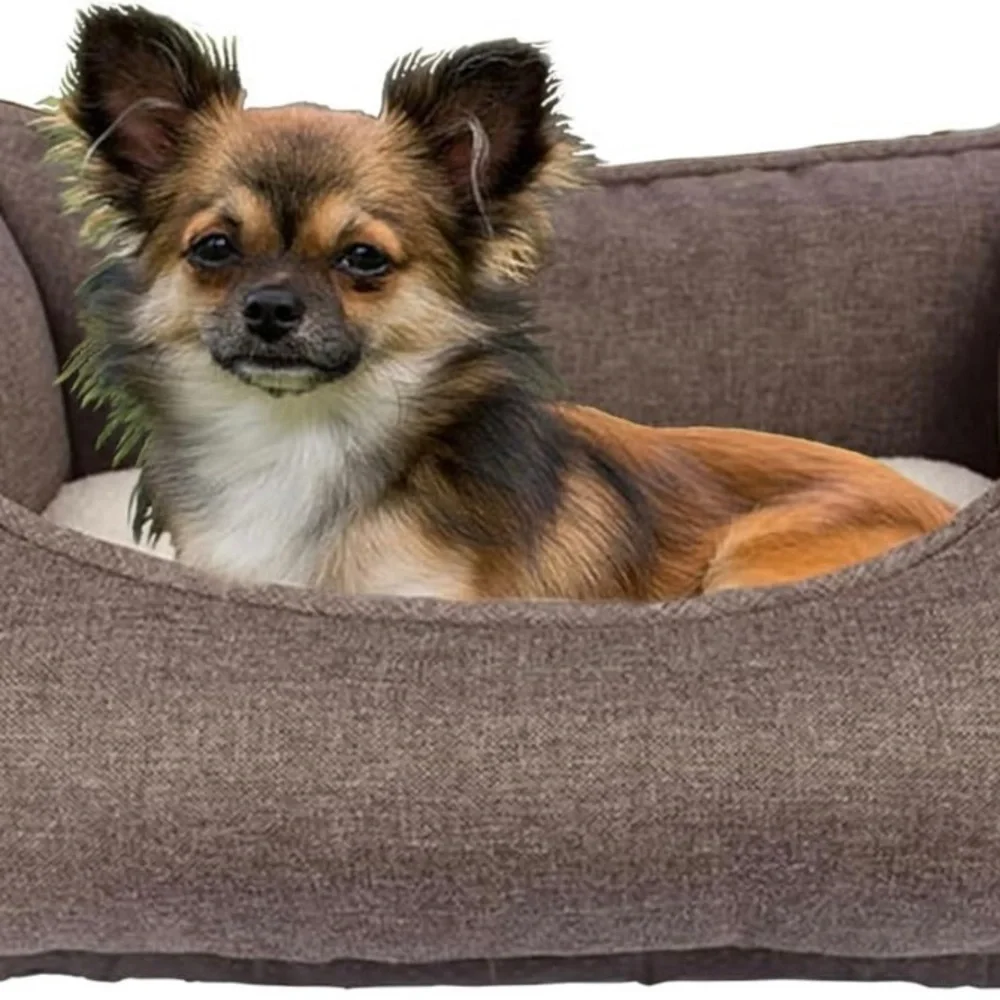 SCENEREAL Memory Foam Pet Beds for Small Dogs Cats - 2 in 1 Orthopedic Dog Bed